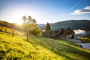  Amenity Hotel & Resort Špindlerův Mlýn  Шпиндлерув Млын